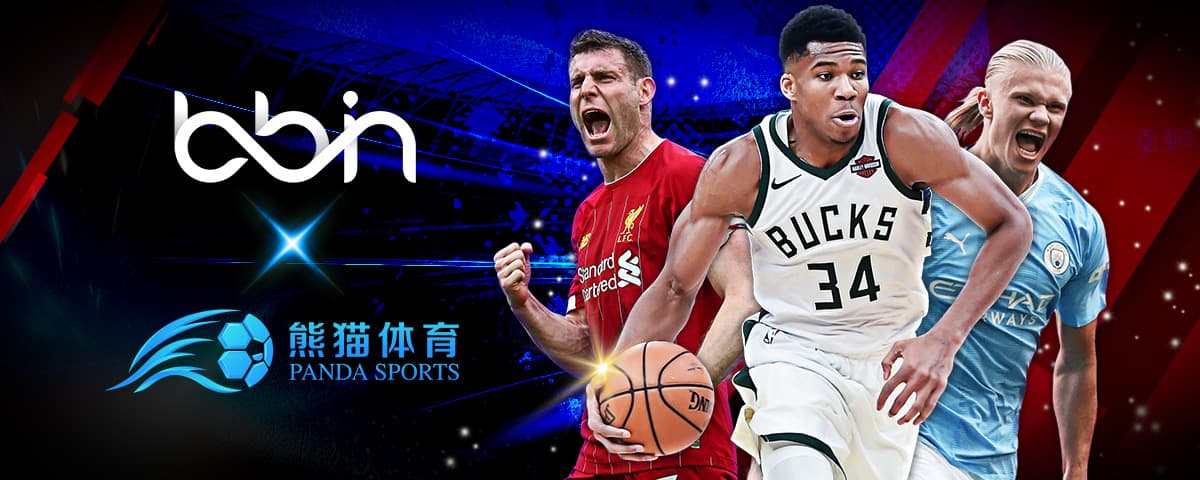 於國際運動